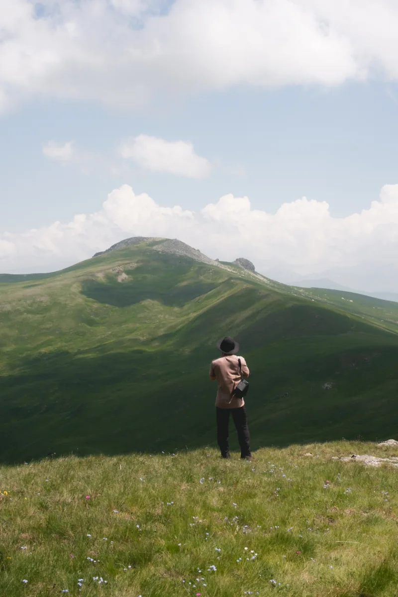 05 · lulet e lëndinës