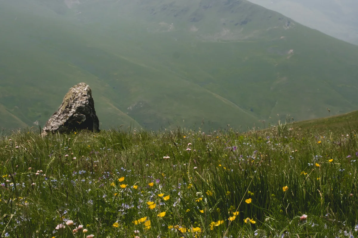 Kabina · kabina
